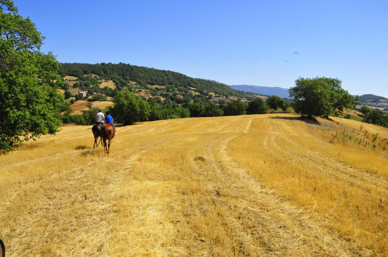 Country House Poggio Aione Hostal Catabbio Exterior foto