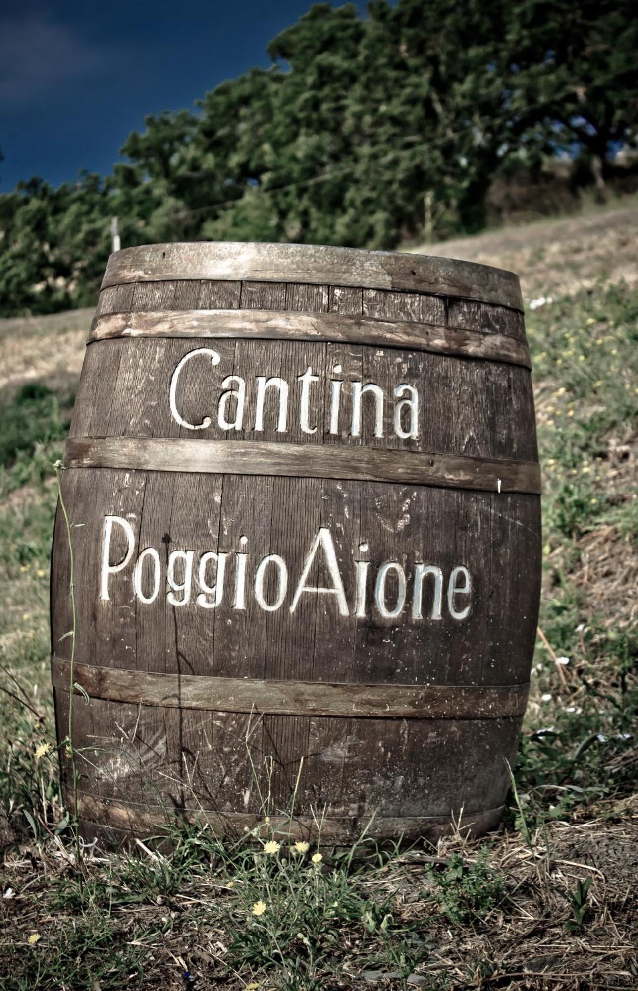 Country House Poggio Aione Hostal Catabbio Exterior foto