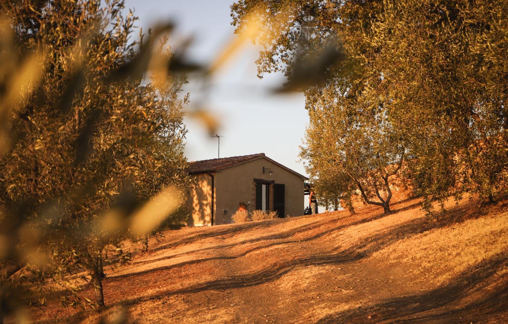 Country House Poggio Aione Hostal Catabbio Exterior foto