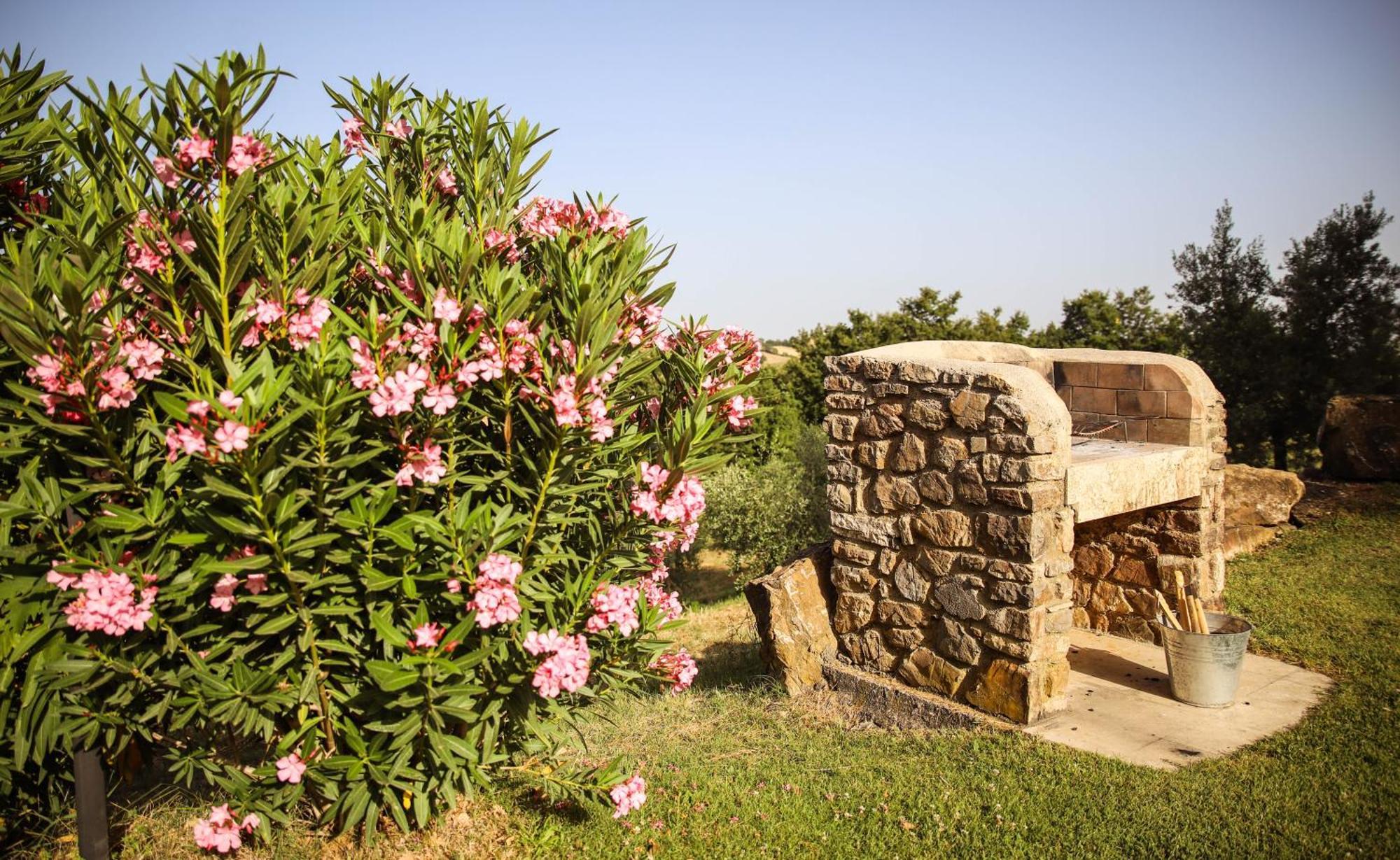 Country House Poggio Aione Hostal Catabbio Exterior foto